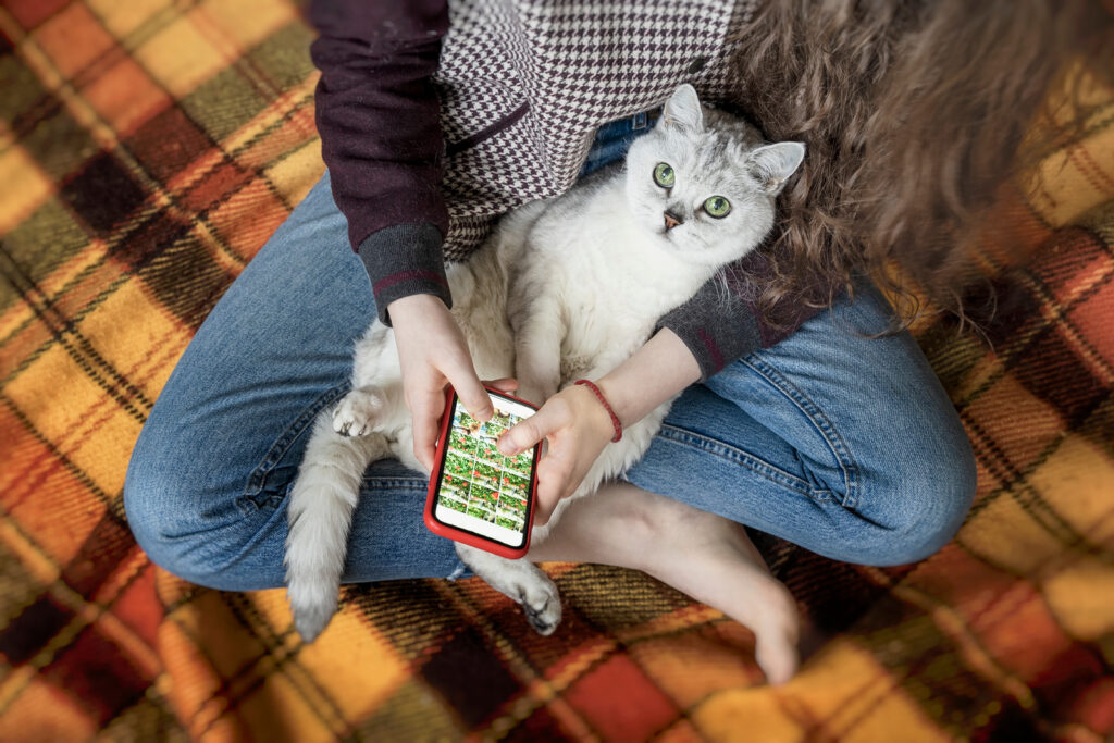 Unlocking CAT Cell Phones for Free